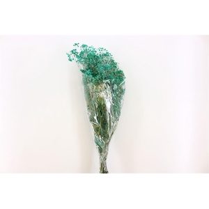 Pres Gyps Dusty Aqua Blue Bunch Slv