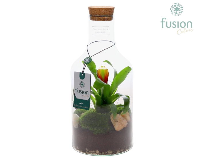 <h4>Green Bottle Fles Small met Bromelia</h4>