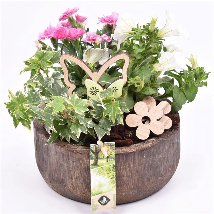 <h4>Hout schaal br. 19cm</h4>