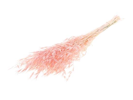 Bunch Avena Salvaje Slv 100g