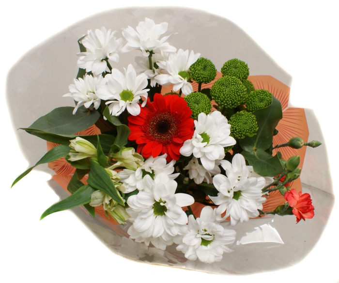 <h4>Boeket 10 tak Rood</h4>