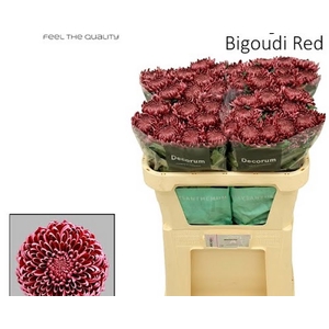 Chr G Bigoudi Red Arcadia