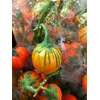 EGGPLANTS (AUBERGINE) ORANGE 1KG