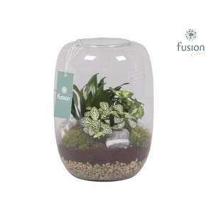 Green Bottle Isabella Large met Groene Planten Arrangement
