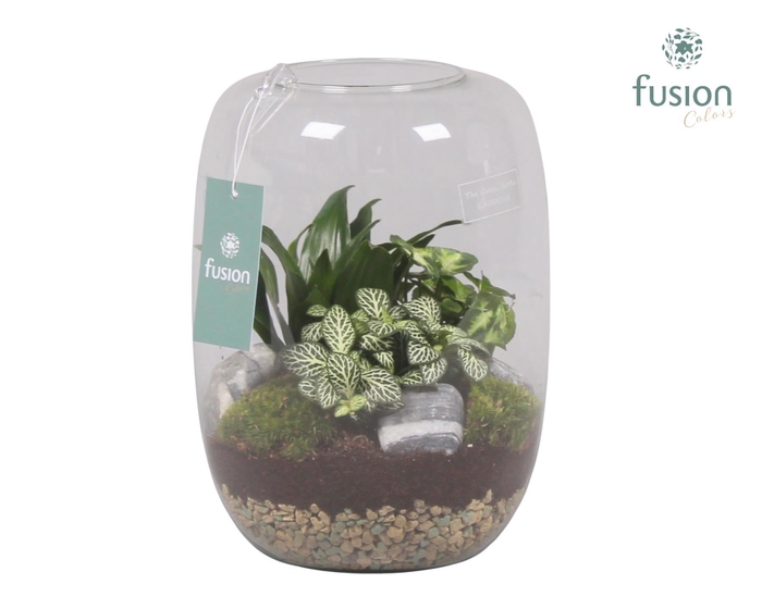 <h4>Green Bottle Isabella Large met Groene Planten Arrangement</h4>