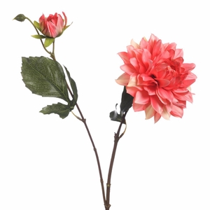 AF Dahlia x2 L63cm Peach