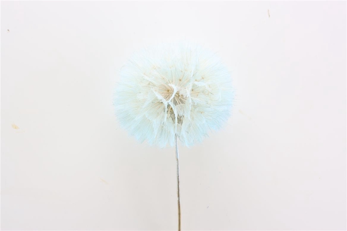 <h4>Pres Puste Flower Baby Satin Blue</h4>