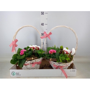 Arr.   Bol/Knolgewas L%