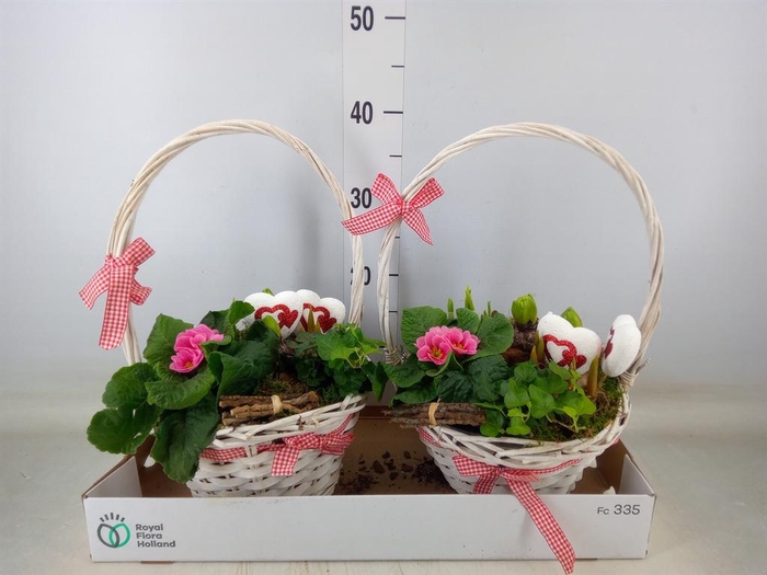 <h4>Arr.   Bol/Knolgewas L%</h4>