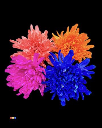 <h4>Chr G Kbh Antonov Special Mix</h4>
