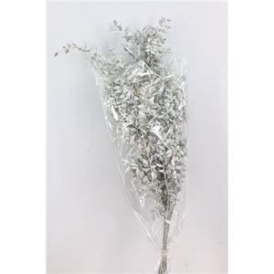 Dried Ruscus Nat White Glitter