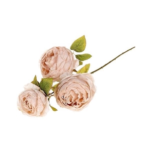 Branch Rosa Gallica L70