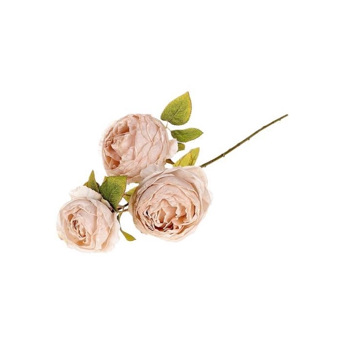 <h4>Branch Rosa Gallica L70</h4>