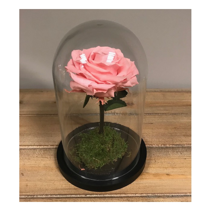 <h4>Stolp d12x20h XL roze glas</h4>