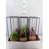 Planten Groen   ...mix  3