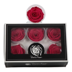 Rosa Preserved Ll Pin 03