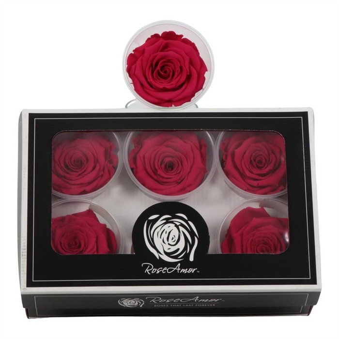 <h4>Rosa Preserved Ll Pin 03</h4>