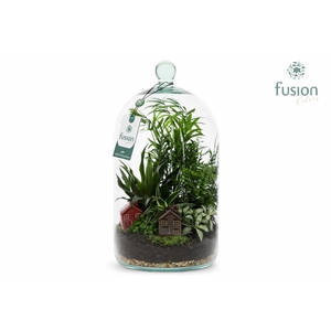 Green Bottle Novella Large met arrangement