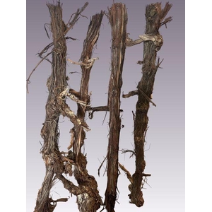 DRUIVENHOUT OV H% 100 CM Super