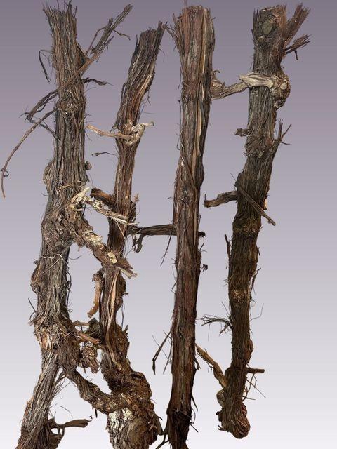 <h4>DRUIVENHOUT OV H% 100 CM Super</h4>