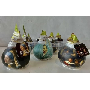 Bloembol Hipp Rembrandt Thema