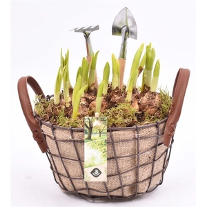 Gaasmand met jute 21x15.5cm