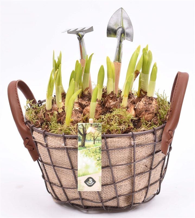 <h4>Gaasmand met jute 21x15.5cm</h4>