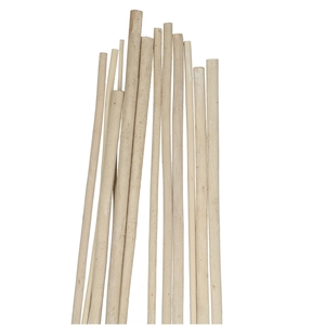 Dried articles Bamboostick 100cm x20