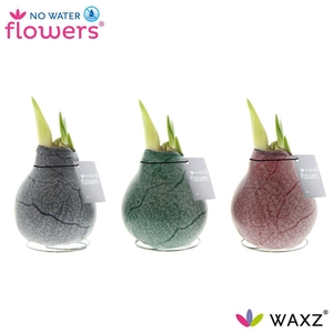 No Water Flowers Waxz® Marble