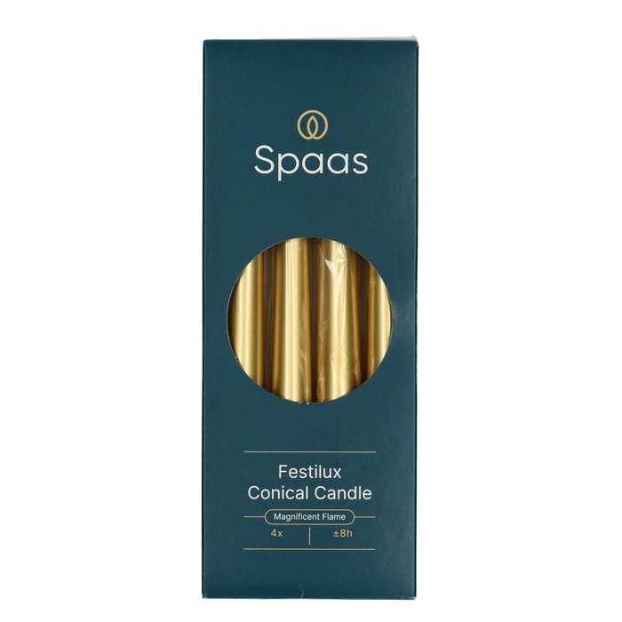 <h4>Candle Dinner candles d2.3*25cm</h4>