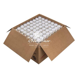 Xl Bulk Whi01
