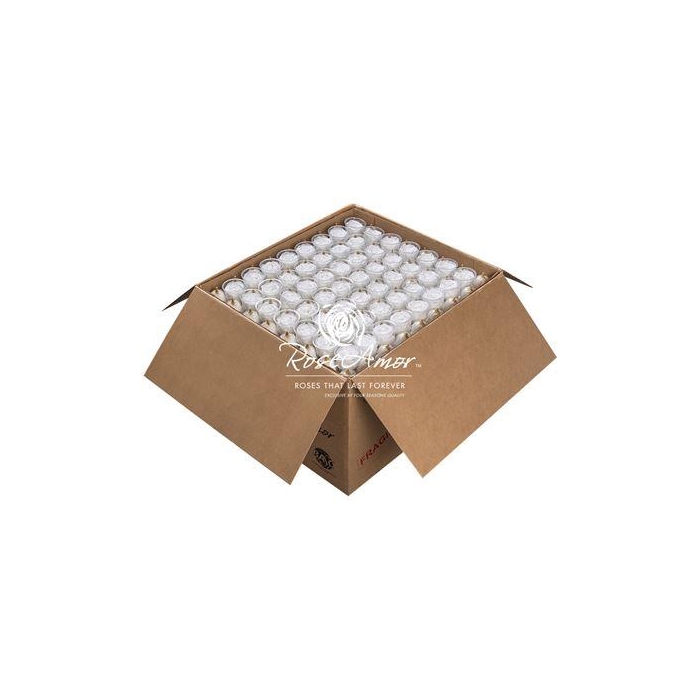 <h4>Xl Bulk Whi01</h4>