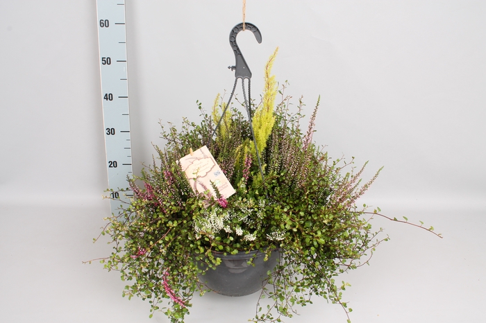 Heidemix Hangpot 27cm