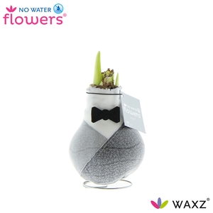 No Water Flowers Waxz® Giletz Bow Tie