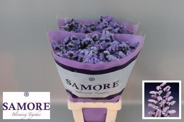 <h4>LIM S DONAU BIRDS</h4>