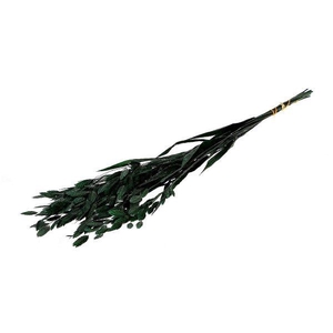 Bunch Chasmantium Pres. 80g L70