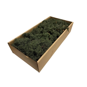 Mos Rendier Pine Green Gepr 500gr