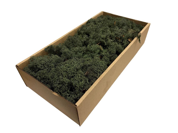 Mos Rendier Pine Green Gepr 500gr
