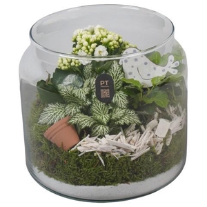 PTIG2622 Arrangement Indoor in glazen vaas