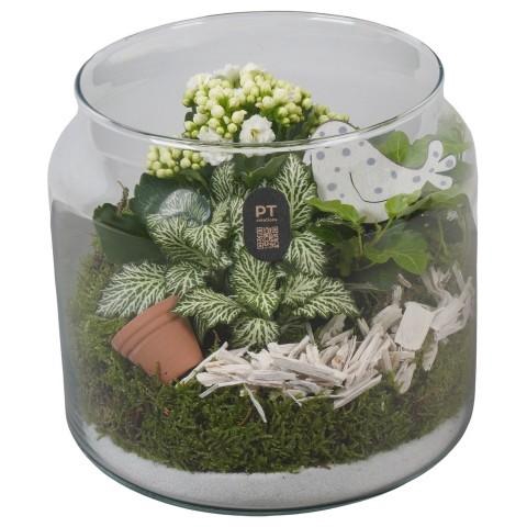 <h4>PTIG2622 Arrangement Indoor in glazen vaas</h4>