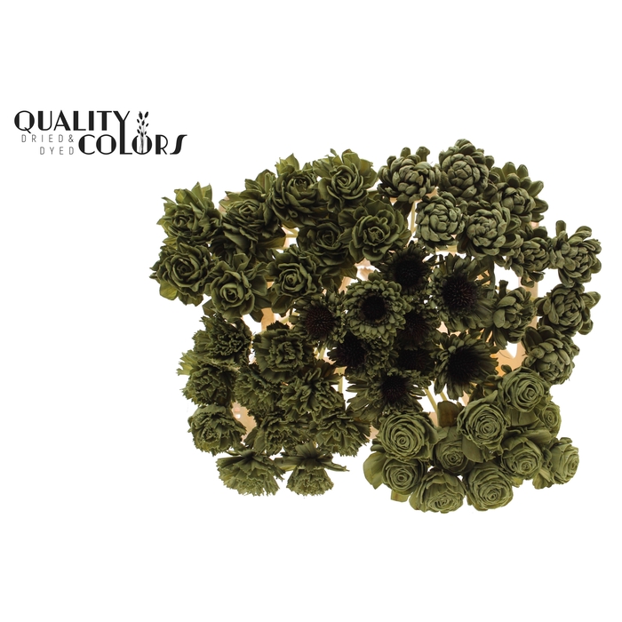 <h4>Shola Flower Mix on stem Olive</h4>
