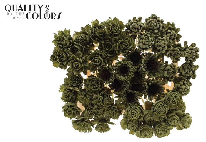 Shola Flower Mix on stem Olive