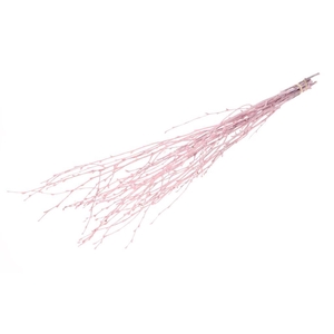 Birch 60cm 10pc Pink Misty