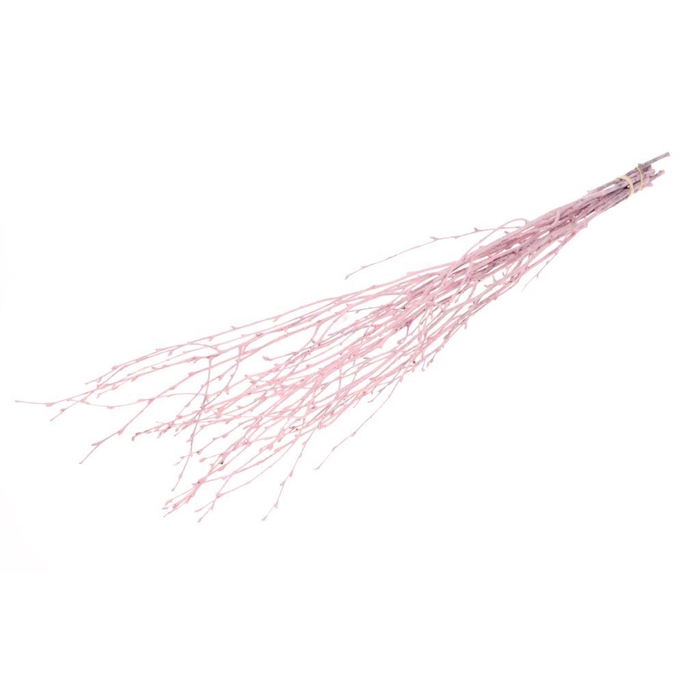 <h4>Birch 60cm 10pc Pink Misty</h4>