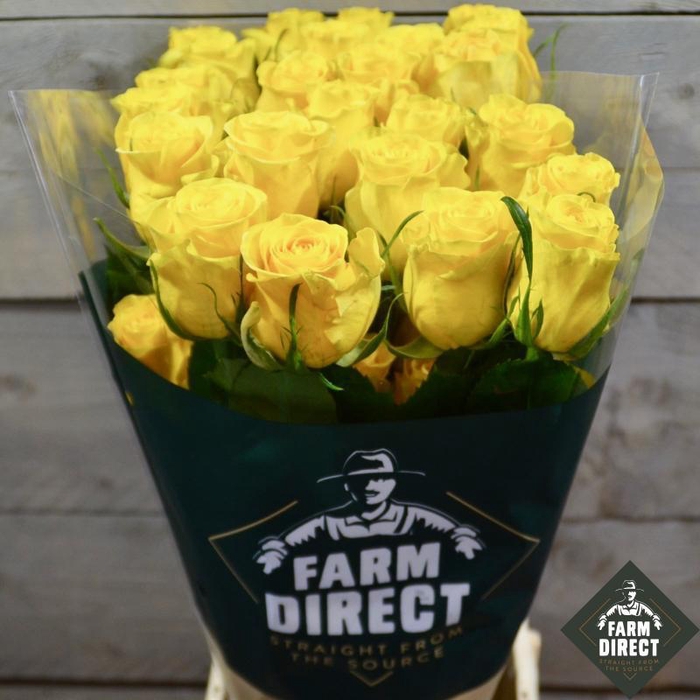 <h4>R Gr Momentum</h4>