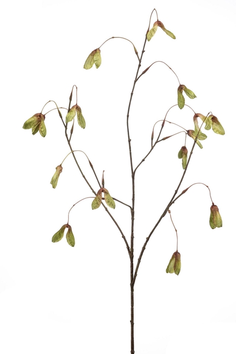 <h4>Maple seed spray green 100cm</h4>