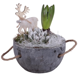 Winter Arr. Outdoor Ceramic Pot with Rope Handle Ø16cm 2PP
