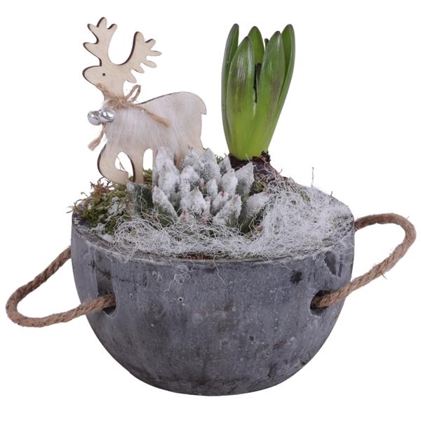 <h4>Winter Arr. Outdoor Ceramic Pot with Rope Handle Ø16cm 2PP</h4>
