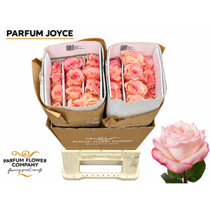 Rosa Parfum Joyce