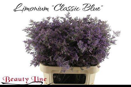 <h4>Lim Saf Classic Blue</h4>